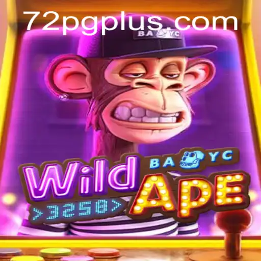 72PG.COM Casino App